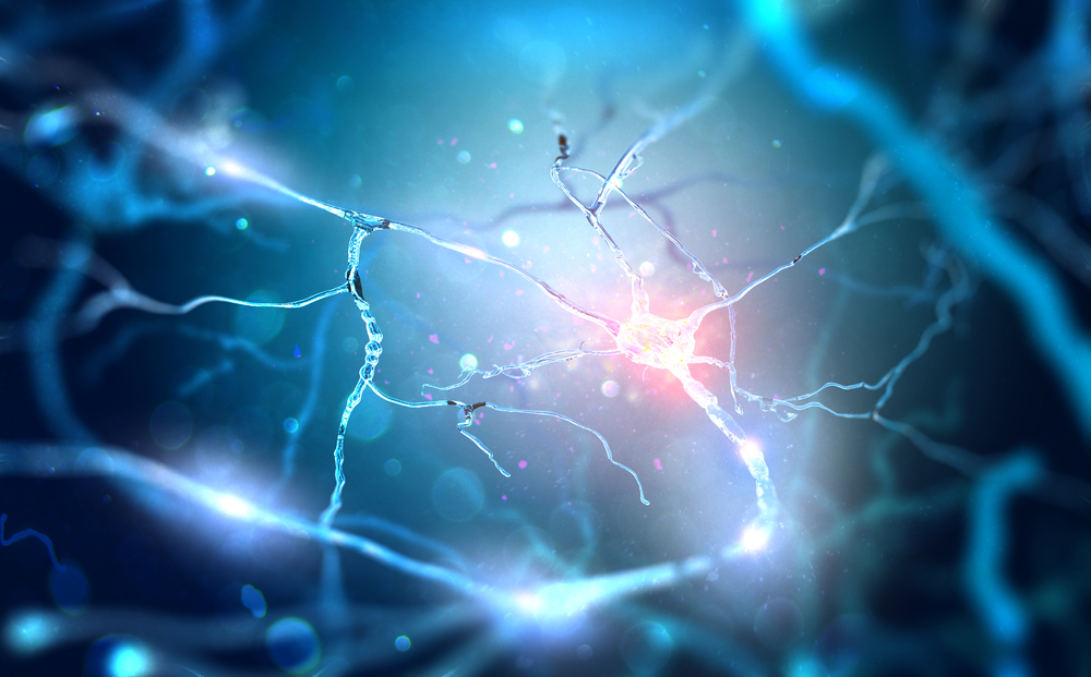 Neurons,Connecting,By,Using,Electrochemical,Transmissions.,3d,Illustration.